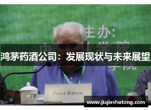鸿茅药酒公司:发展现状与未来展望 鸿茅药酒公司:发展现状与未来展望