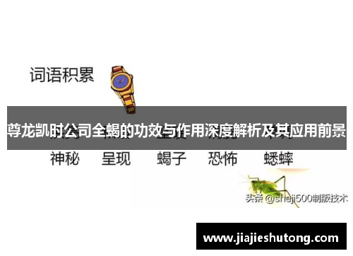 尊龙凯时公司全蝎的功效与作用深度解析及其应用前景 尊龙凯时公司全蝎的功效与作用深度解析及其应用前景